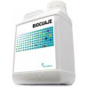 BIOCUAJE