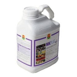 NK PLUS
