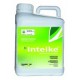 INTEIKE