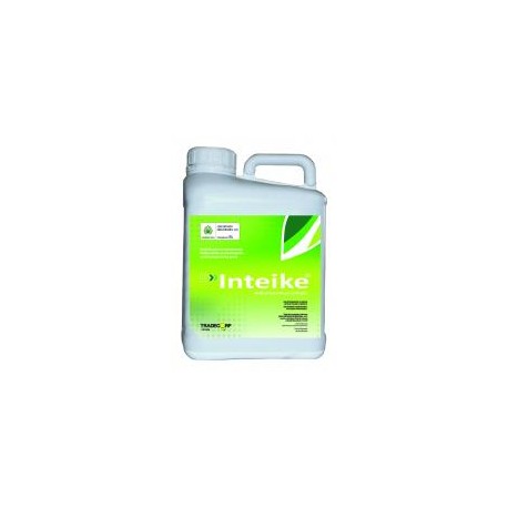 INTEIKE
