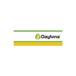 DAYTONA