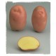 PATATAS DE SIEMBRA DESIREE A 45/55