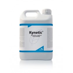 KYNETIC4