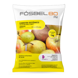 FOSBEL 80