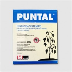 PUNTAL