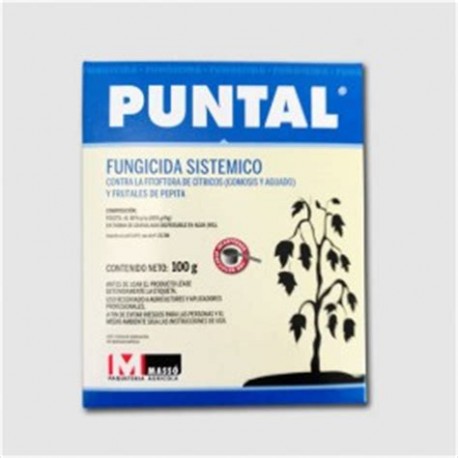 PUNTAL