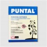 PUNTAL