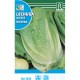LECHUGA INVERNA