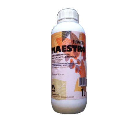 MAESTRO