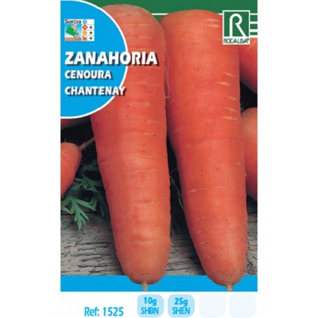 ZANAHORIA CHANTENAY