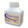 SCORE 25 EC