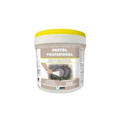 PASTOL PROFESIONAL