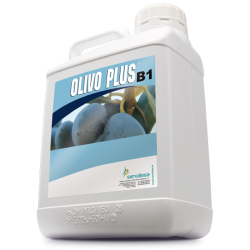 OLIVO PLUS B1 ECOLOGICO
