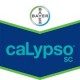 Calypso® SC