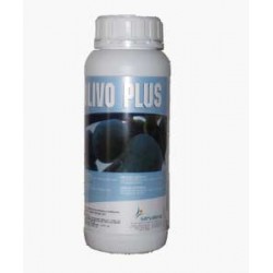 OLIVO PLUS