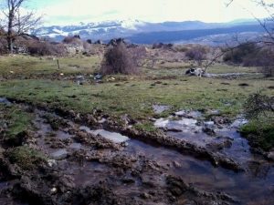 imagen de la contaminación del agua por nitratos